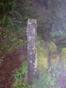 5.7.06 Wauna Point 003 